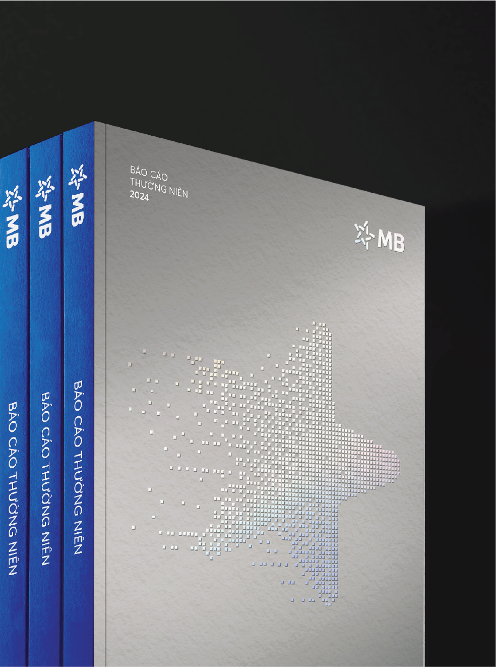 MBBank Annual Report Concept 2024